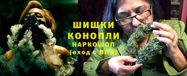 ГАЛЛЮЦИНОГЕННЫЕ ГРИБЫ Абаза