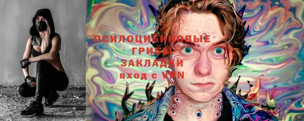 ГАЛЛЮЦИНОГЕННЫЕ ГРИБЫ Абаза