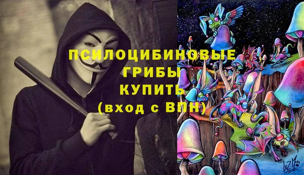 гидропоника Абдулино