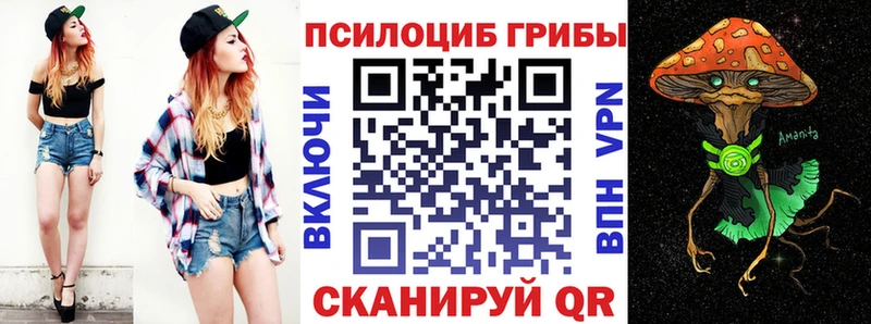 купить  цена  Лермонтов  Псилоцибиновые грибы Psilocybe 